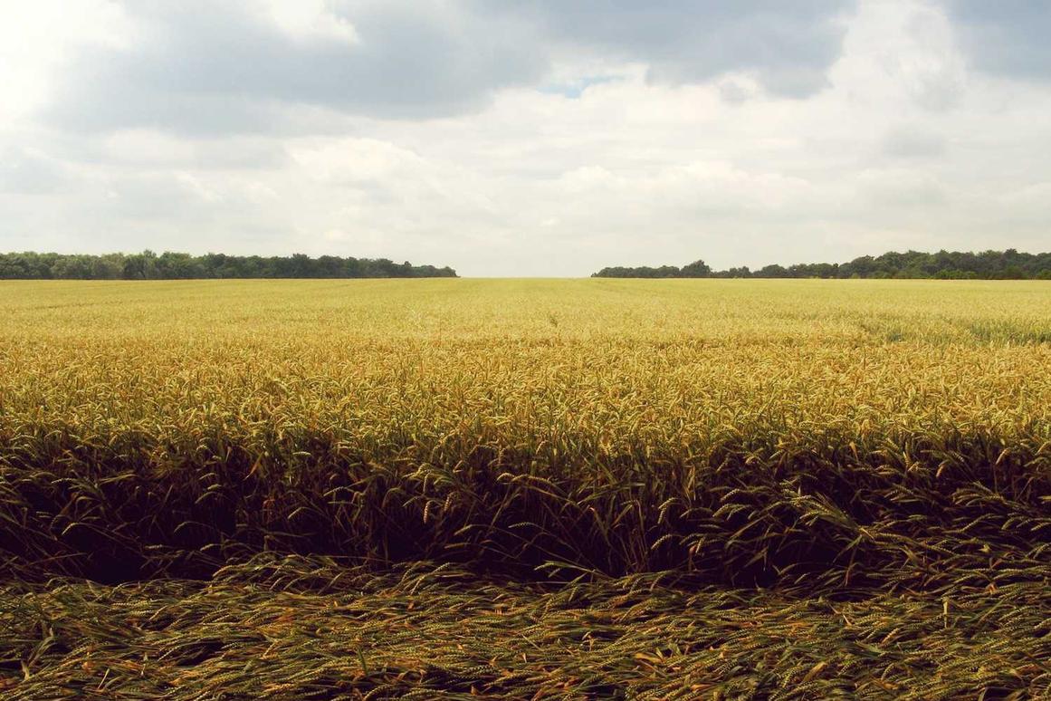 Rem ipsa ducimus a sed autem praesentium