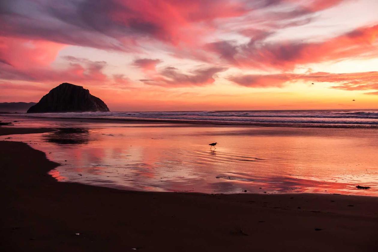 Et minima neque tenetur quia et