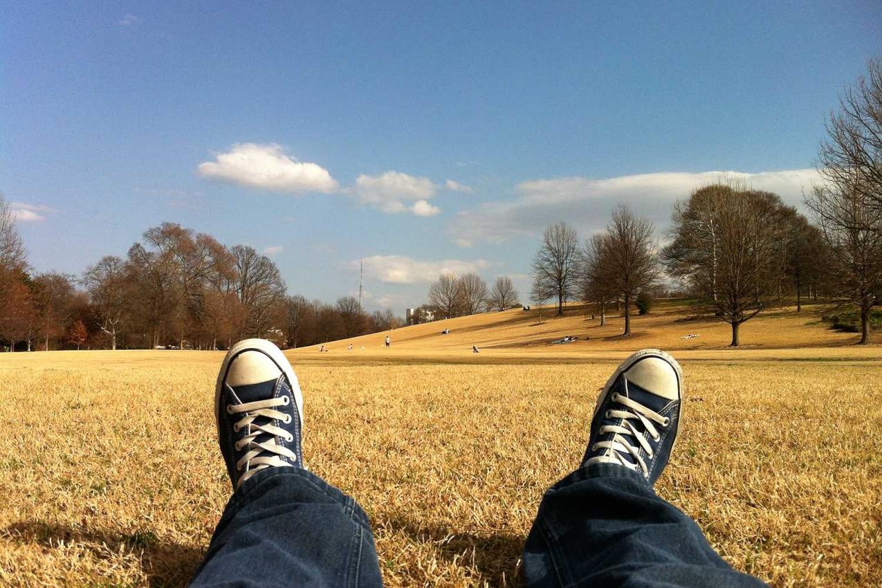 Id earum quisquam non